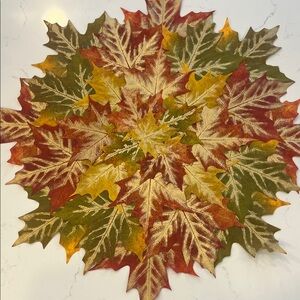 Pier 1 Imports Fall Placemat Set of 2 NWT